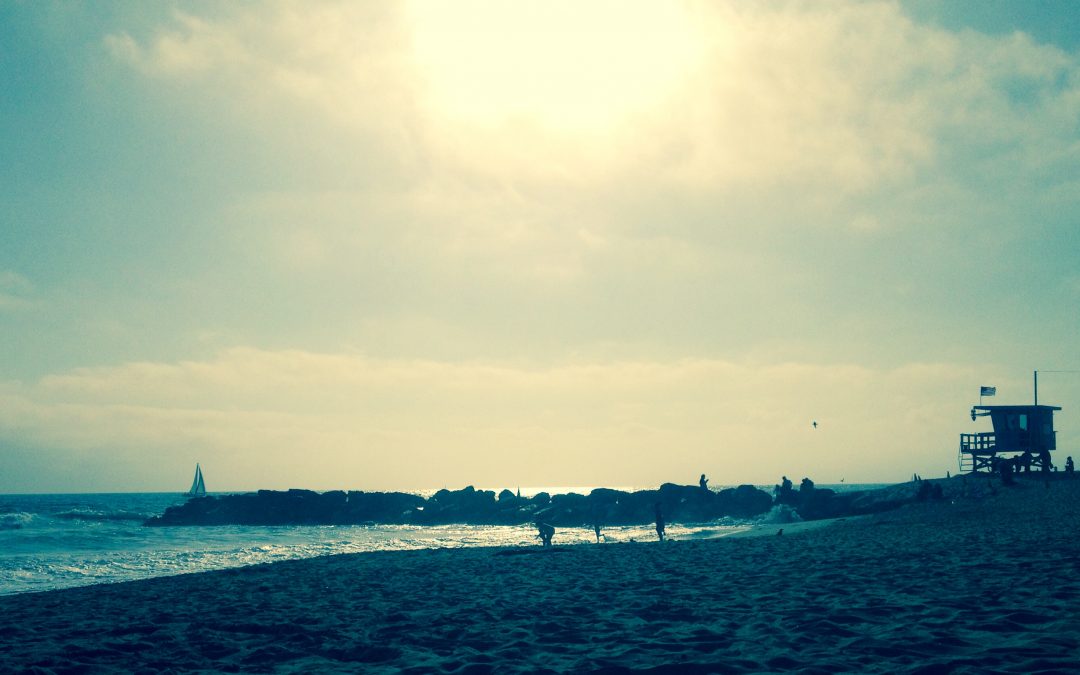 Travel Memories…..Venice Beach