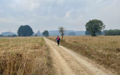 Buen Camino: My pilgrimage on the Camino Way